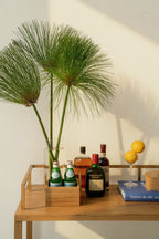 Mini Bar Soho