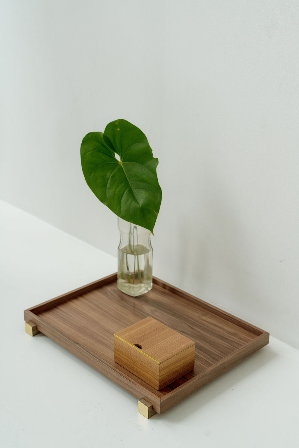 Bandeja Ara Média Nogueira