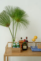 Mini Bar Soho