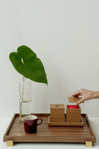 Set xodó